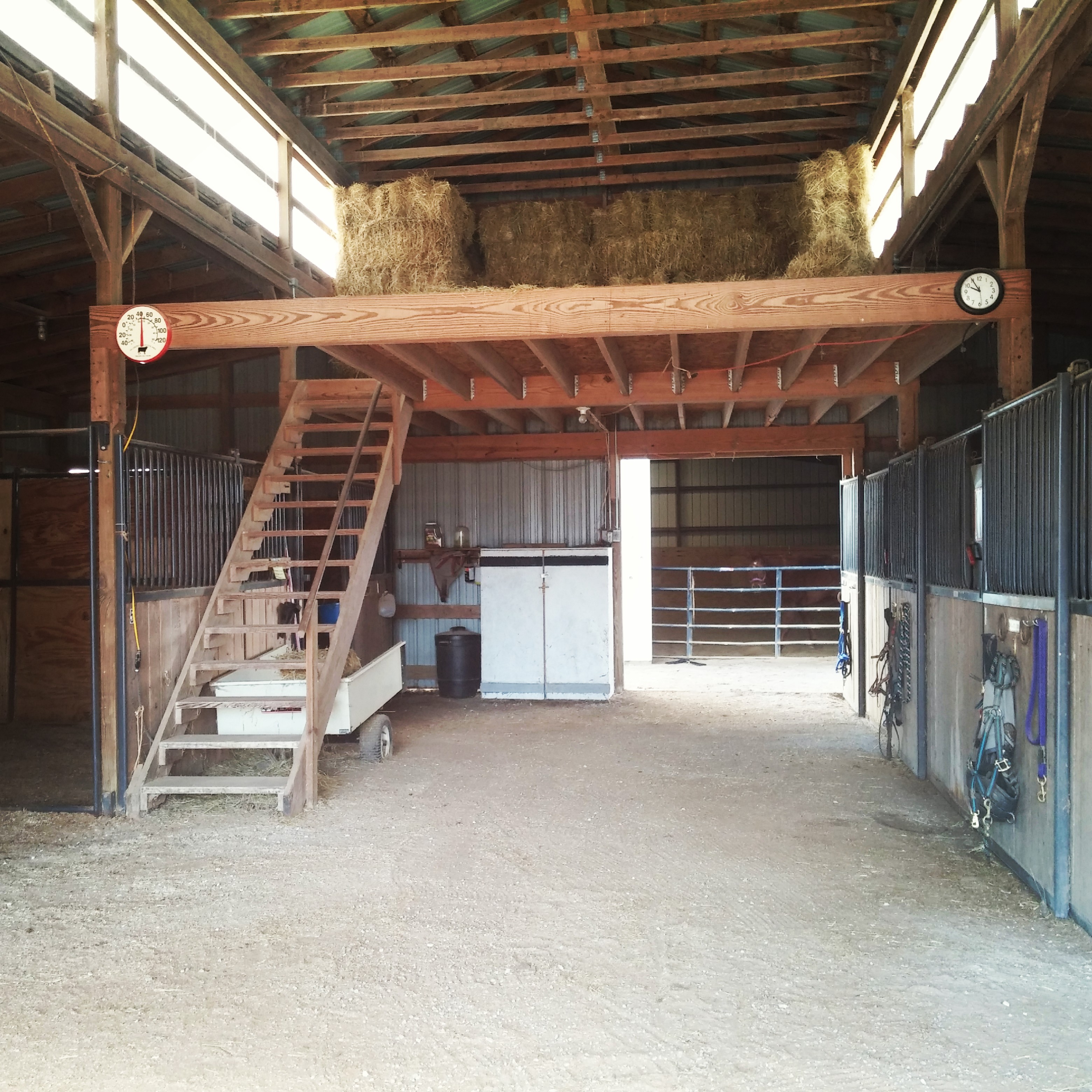 Photos | Allen Stables